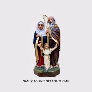 San Joaquin y Sta Ana 22 CMS