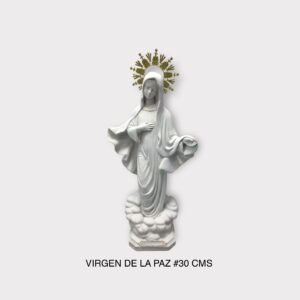 Virgen de la paz #30 CMS